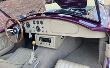Shelby-Cobra-1967-Coupe-29