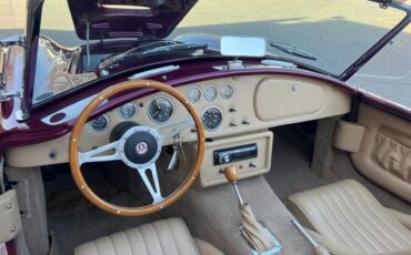 Shelby-Cobra-1967-Coupe-30