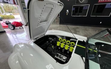 Shelby-Cobra-Replica-1965-Roadster-25