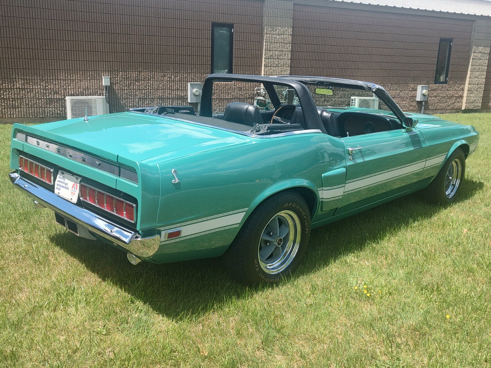 Shelby-GT-1969-Convertible-16