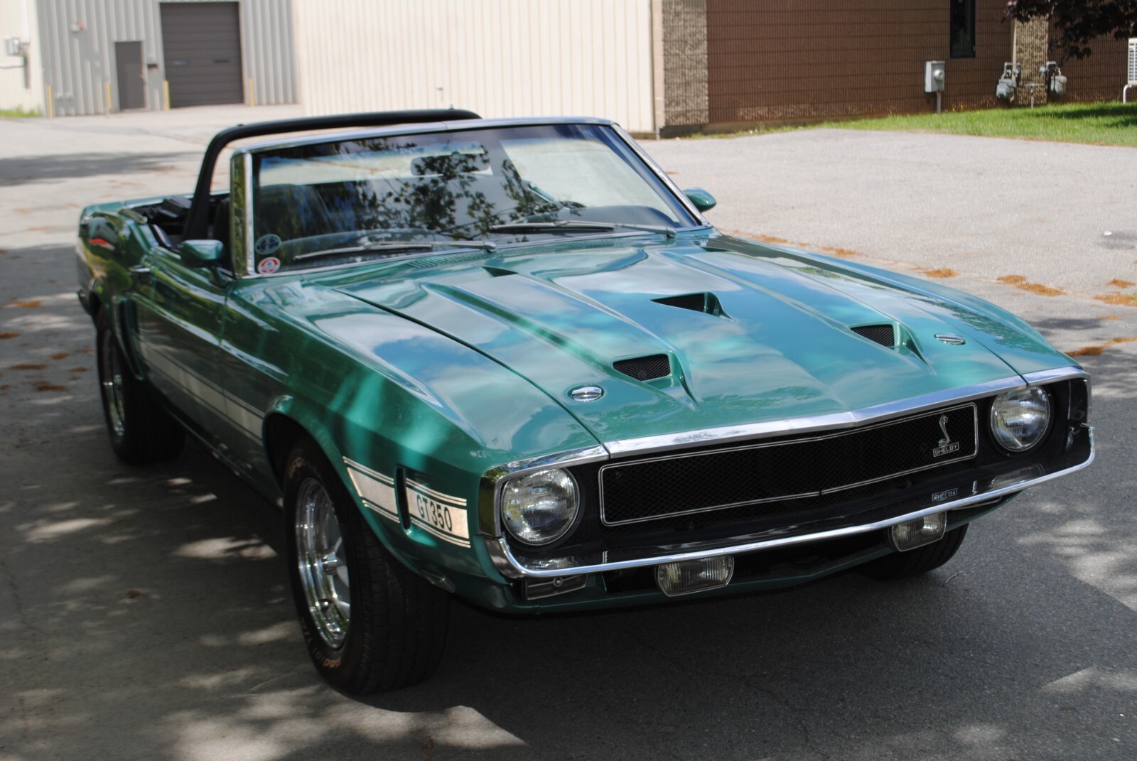Shelby-GT-1969-Convertible