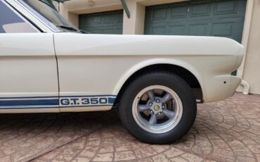 Shelby-GT350-1965-Coupe-5