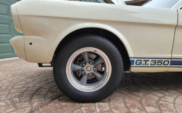Shelby-GT350-1965-Coupe-6