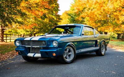 Shelby GT350 1966 Other