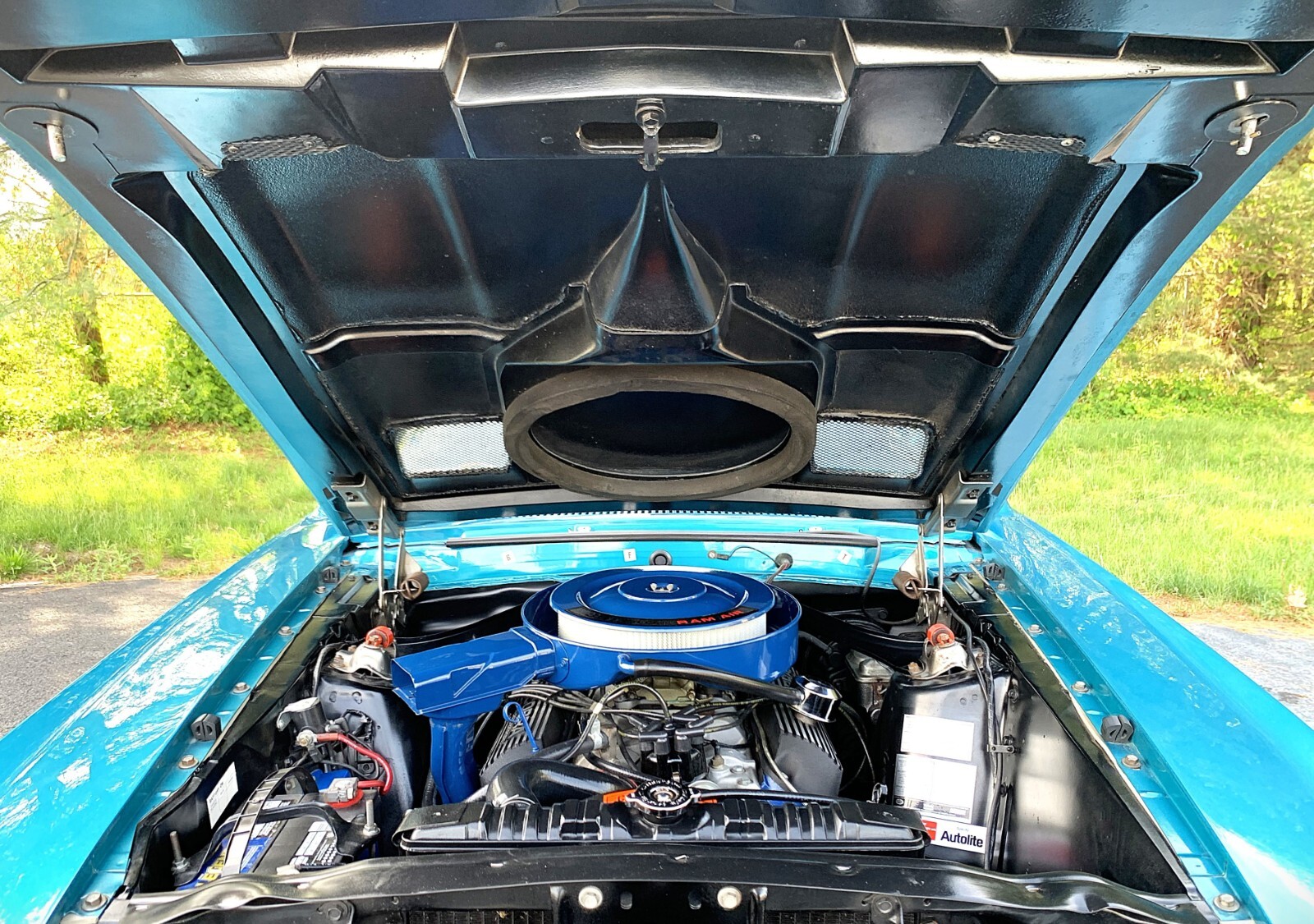 Shelby-GT350-1969-Fastback-25