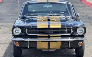 Shelby-GT350H-1966-Fastback-10