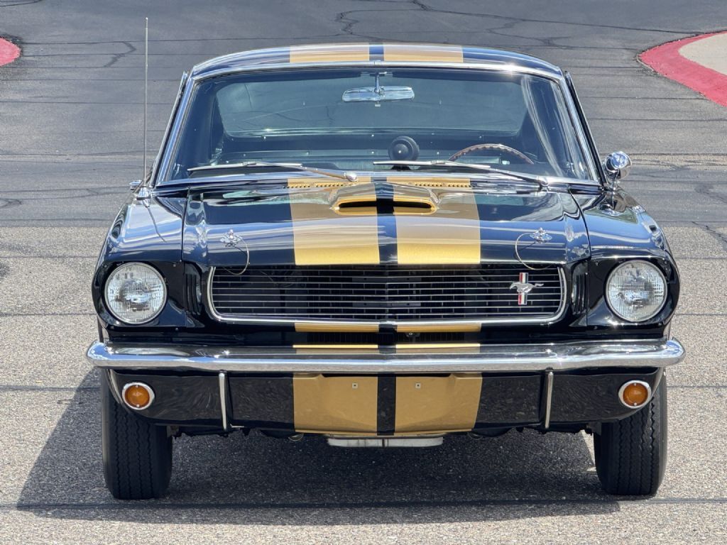 Shelby-GT350H-1966-Fastback-10
