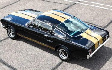 Shelby-GT350H-1966-Fastback-12