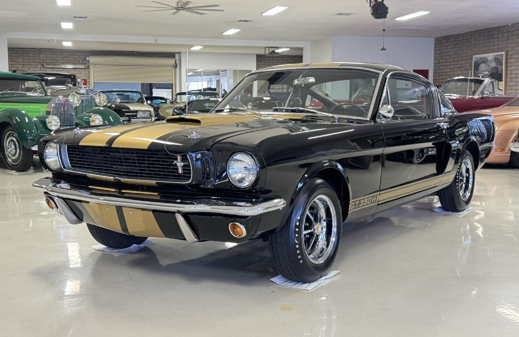 Shelby-GT350H-1966-Fastback-14