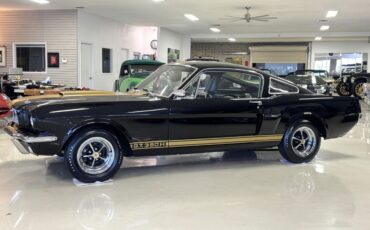 Shelby-GT350H-1966-Fastback-15