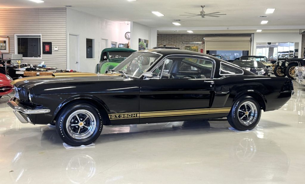 Shelby-GT350H-1966-Fastback-15