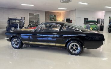 Shelby-GT350H-1966-Fastback-16