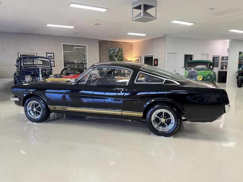 Shelby-GT350H-1966-Fastback-16