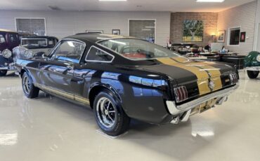 Shelby-GT350H-1966-Fastback-17