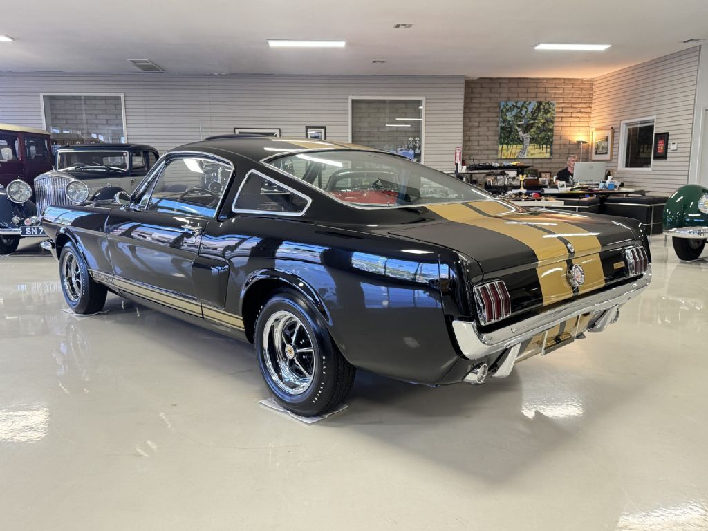 Shelby-GT350H-1966-Fastback-17