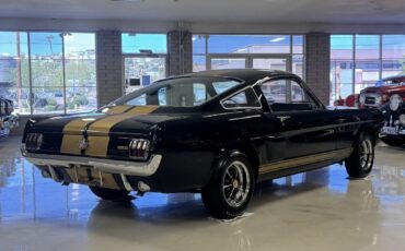 Shelby-GT350H-1966-Fastback-18