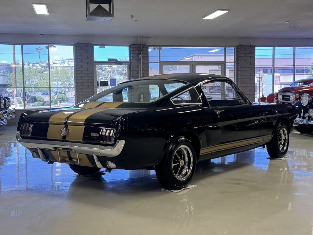 Shelby-GT350H-1966-Fastback-18