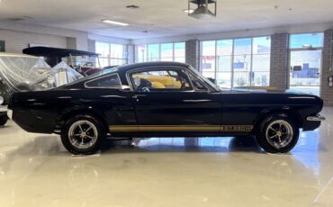 Shelby-GT350H-1966-Fastback-19