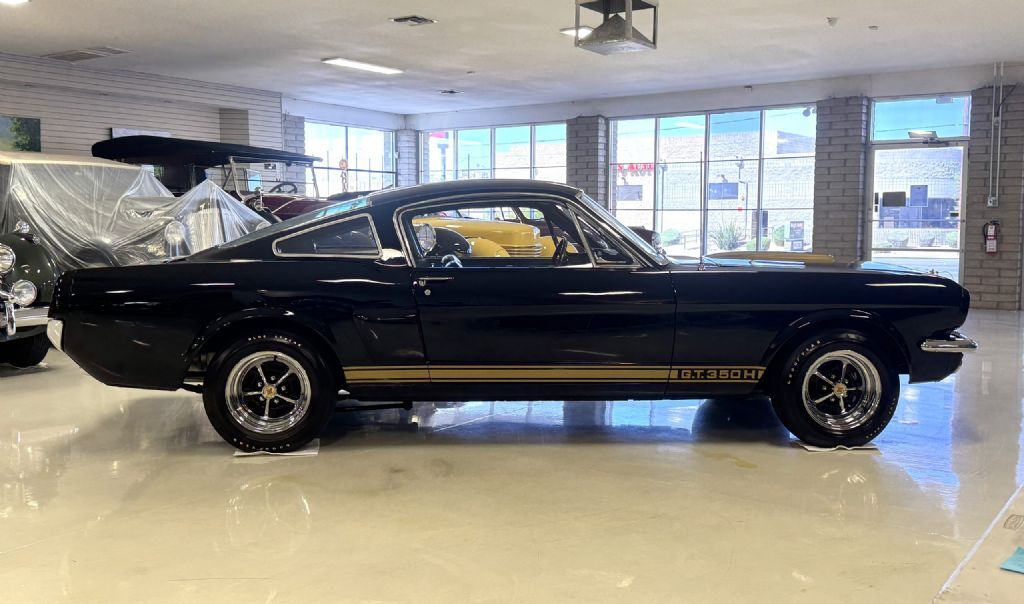 Shelby-GT350H-1966-Fastback-19