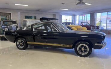 Shelby-GT350H-1966-Fastback-20