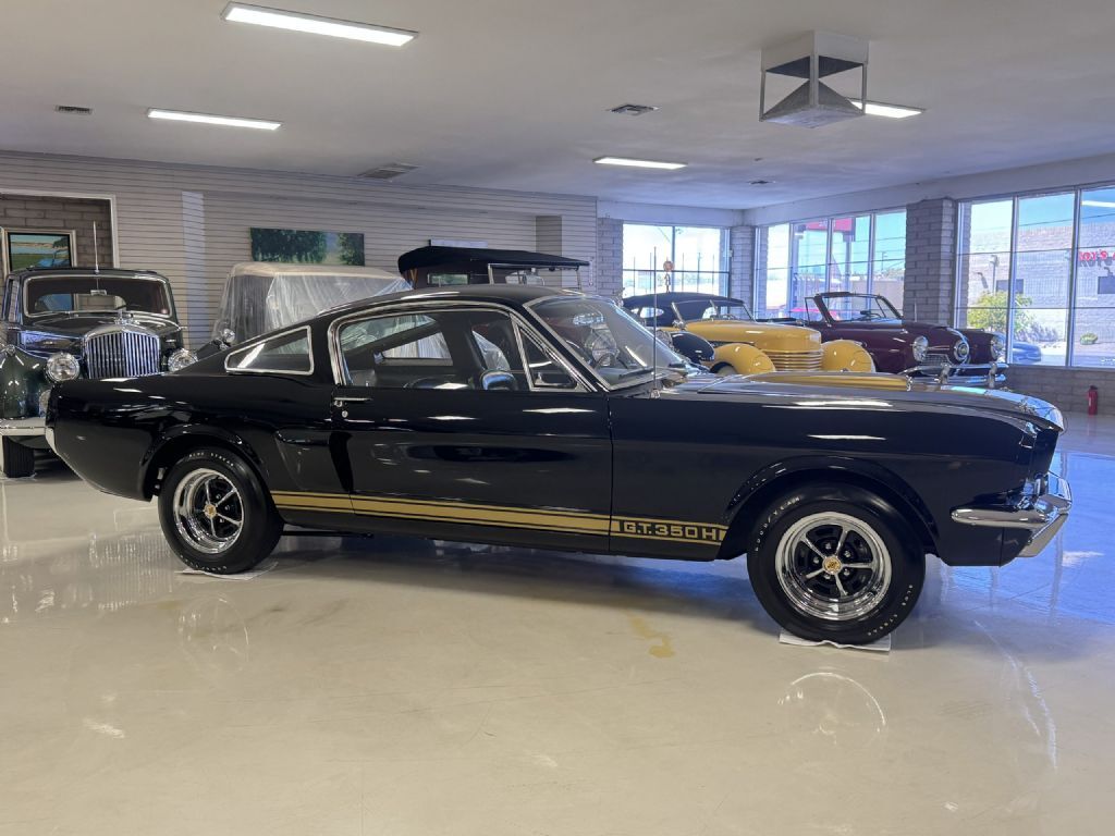 Shelby-GT350H-1966-Fastback-20