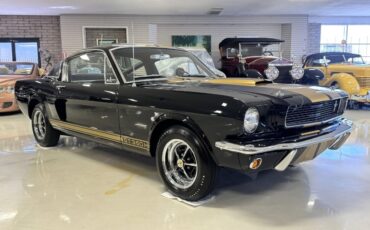 Shelby-GT350H-1966-Fastback-21