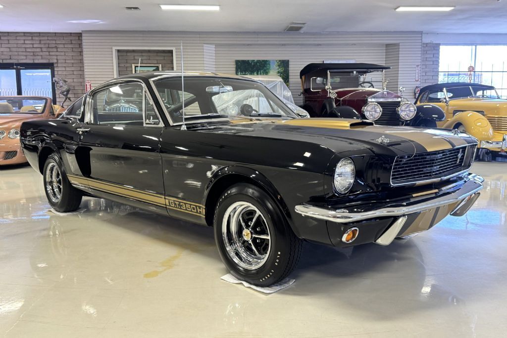 Shelby-GT350H-1966-Fastback-21