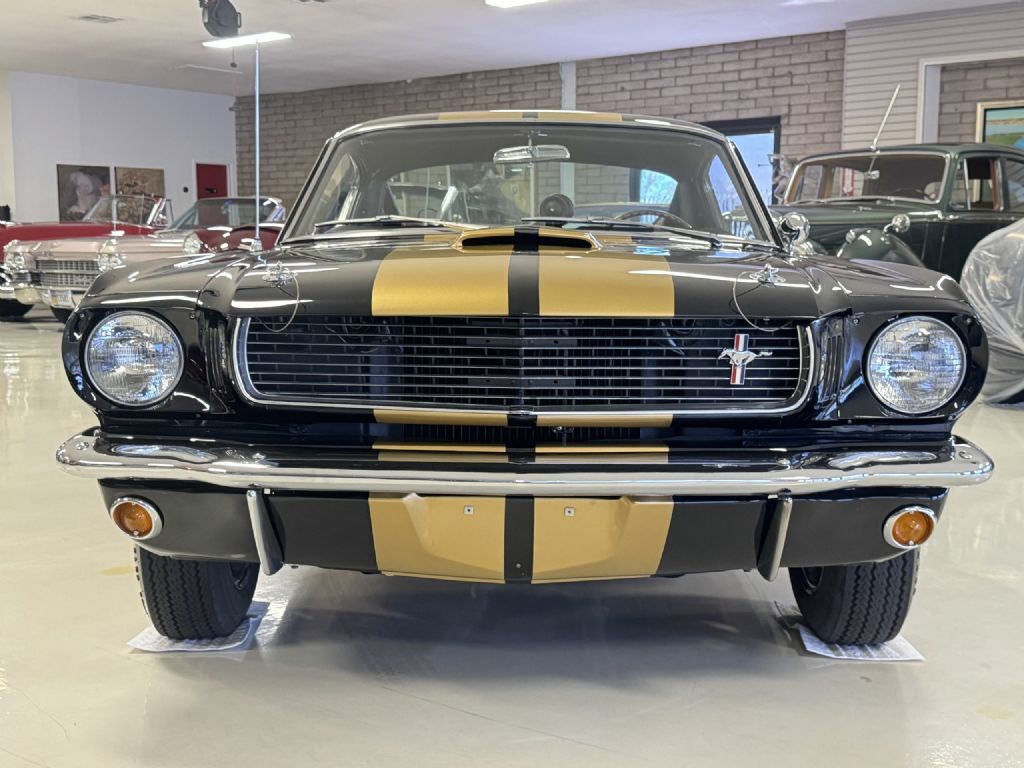 Shelby-GT350H-1966-Fastback-22