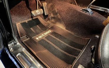 Shelby-GT350H-1966-Fastback-27