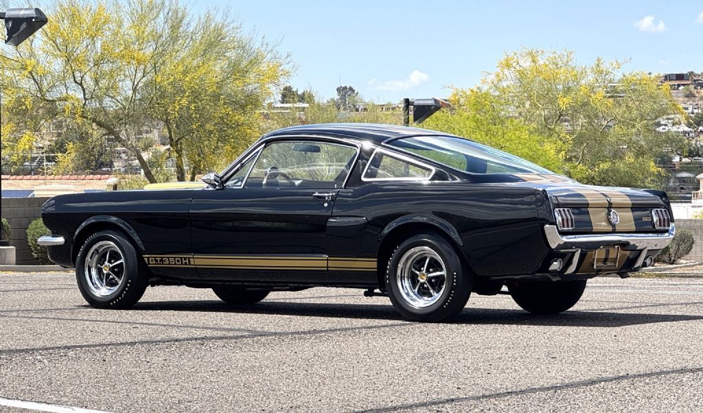 Shelby-GT350H-1966-Fastback-3