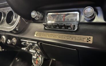 Shelby-GT350H-1966-Fastback-36