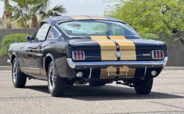 Shelby-GT350H-1966-Fastback-4