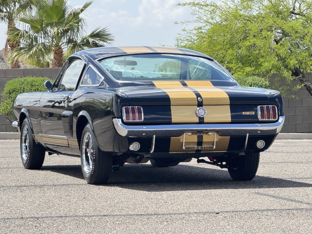 Shelby-GT350H-1966-Fastback-4