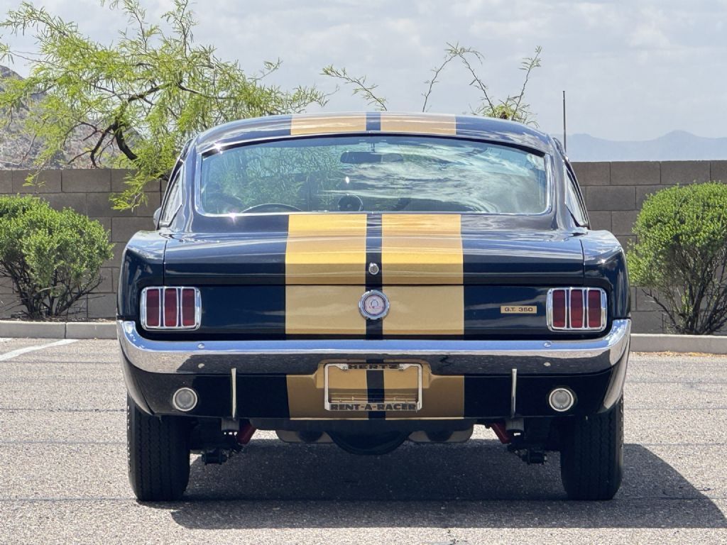 Shelby-GT350H-1966-Fastback-5
