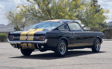 Shelby-GT350H-1966-Fastback-6