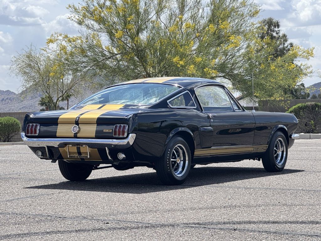 Shelby-GT350H-1966-Fastback-6