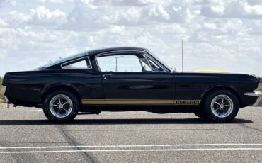 Shelby-GT350H-1966-Fastback-7