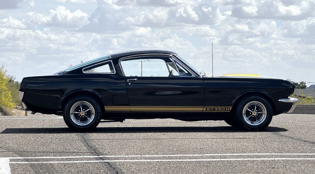 Shelby-GT350H-1966-Fastback-7