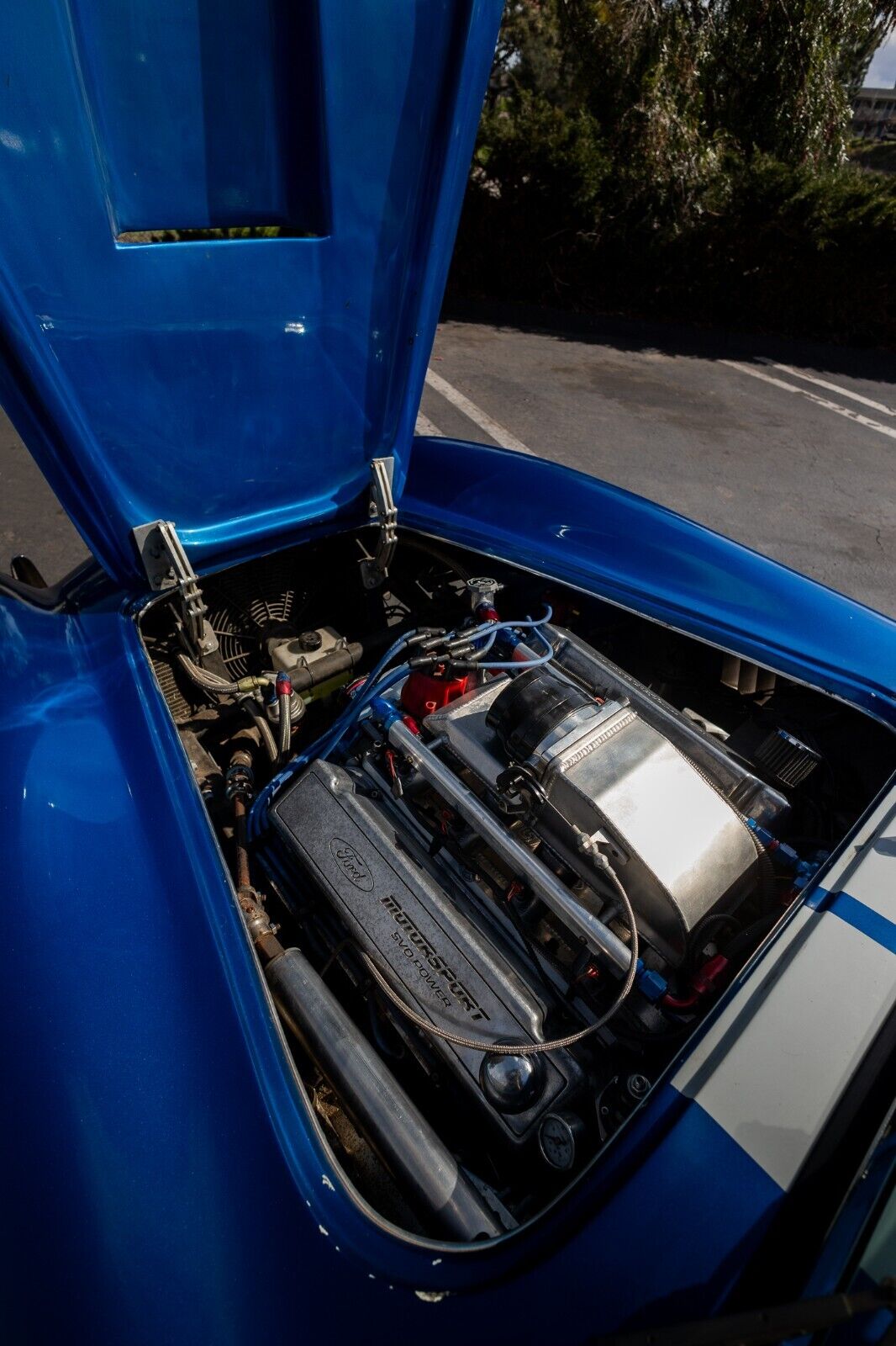 Shelby-V-8-1967-Coupe-21