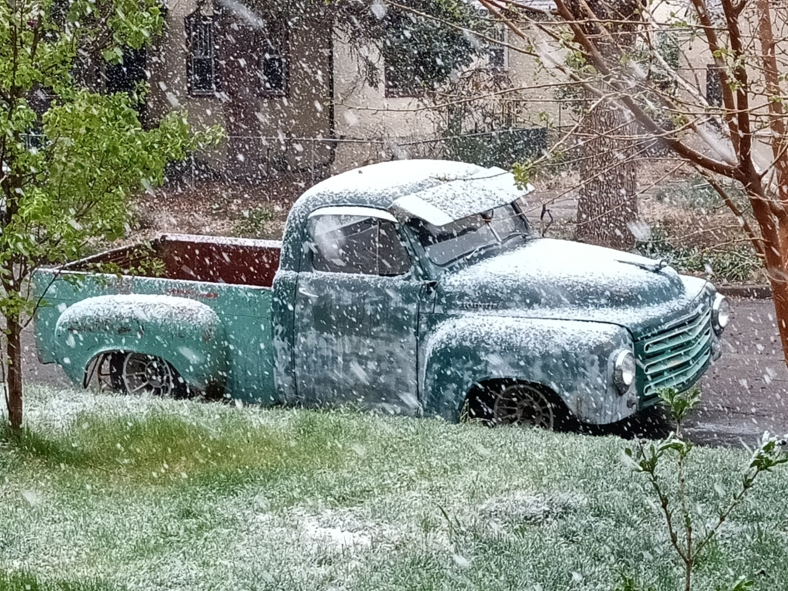 Studebaker-12-Ton-Pickup-1952-Standard-Cab-Pickup-3