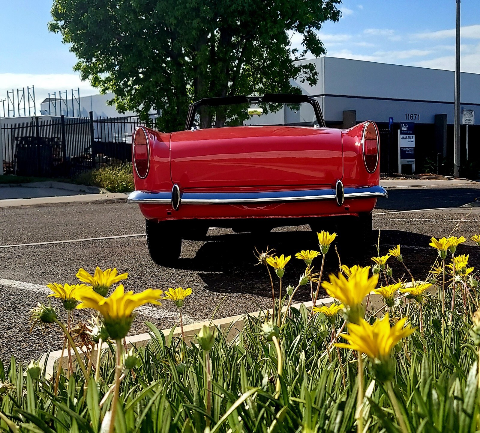 Sunbeam-Alpine-1965-Convertible-8