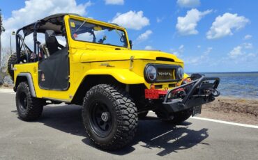 Toyota-Land-Cruiser-1964-12