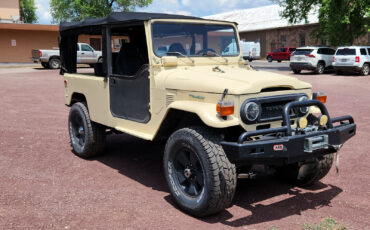 Toyota-Land-Cruiser-1977-Convertible-10