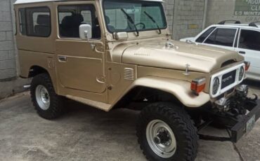 Toyota-Land-Cruiser-1982-2