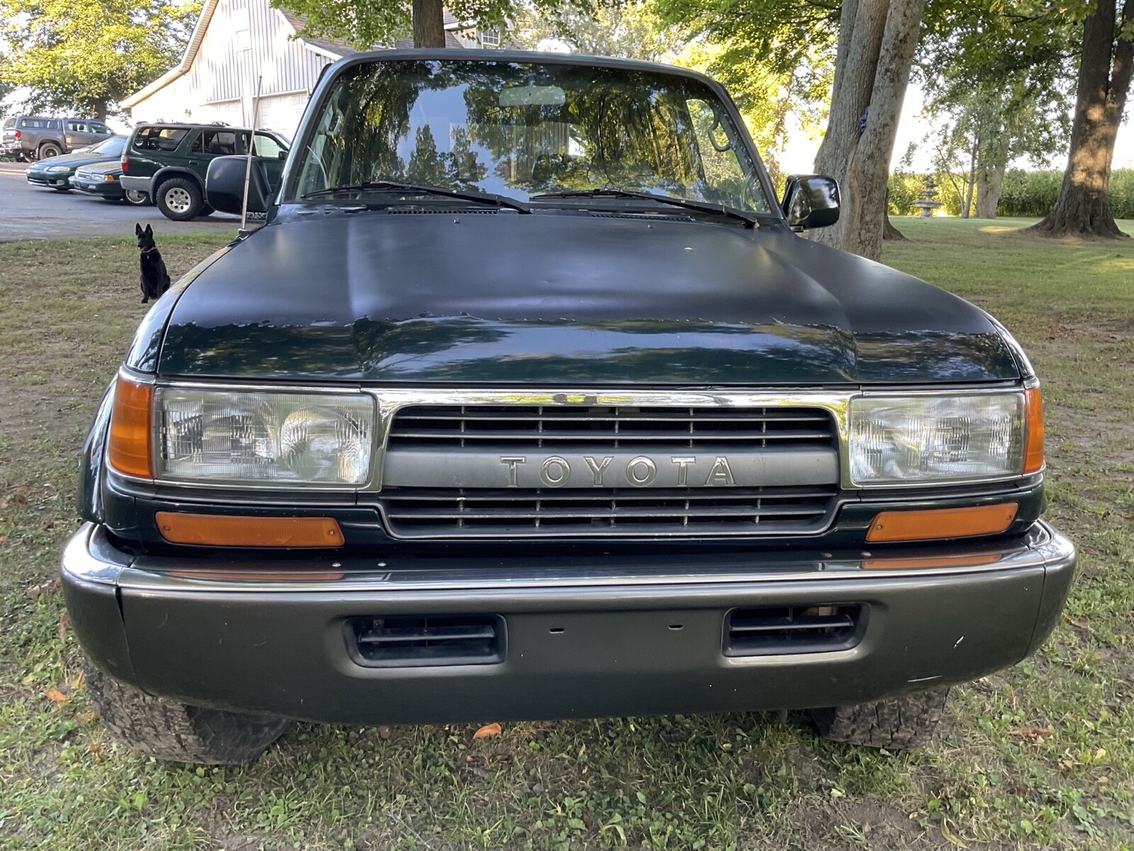Toyota-Land-Cruiser-1993-3