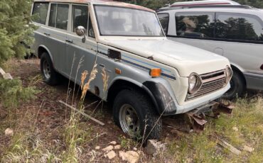 Toyota-Land-Cruiser-Wagon-1971-5