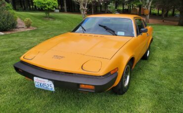 Triumph-Other-1976-Coupe-7