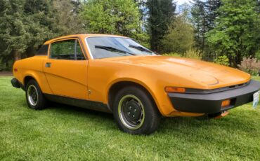 Triumph-Other-1976-Coupe-9