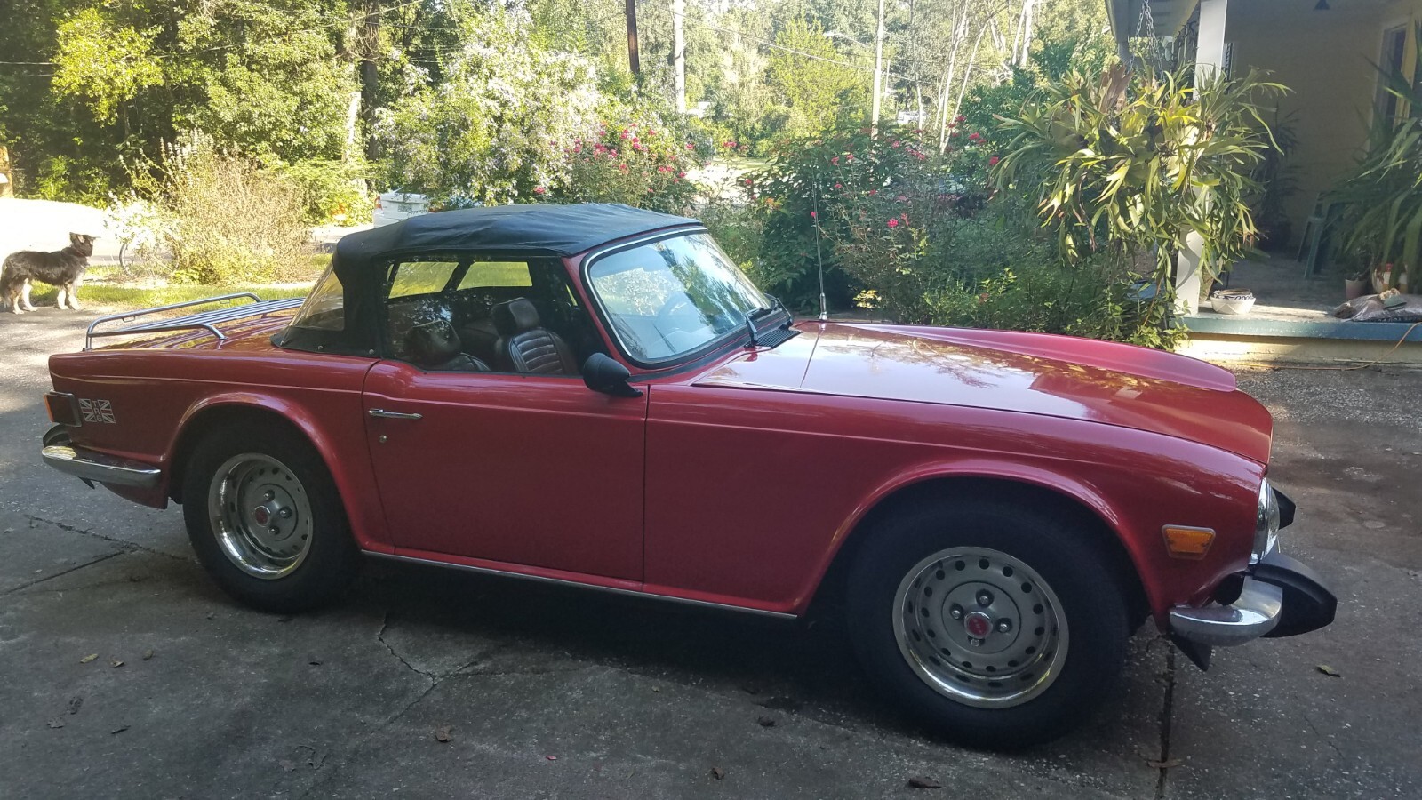 Triumph-TR-6-1974-Convertible-3