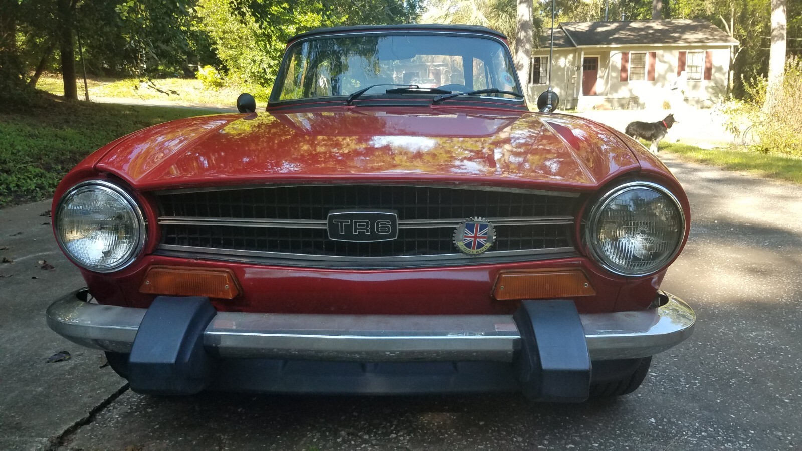 Triumph-TR-6-1974-Convertible-9